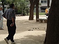 DSCF0429