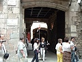 DSCF0459