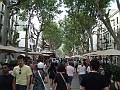 DSCF0480