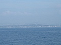 DSCF0525