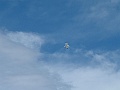 DSCF0569
