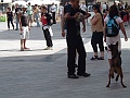 DSCF0576