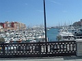 DSCF0582