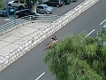 DSCF0592