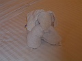 DSCF0600