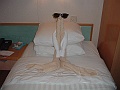 DSCF0601