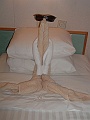 DSCF0602