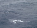 DSCF0605