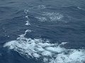 DSCF0606