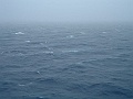 DSCF0608