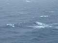 DSCF0609