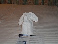 DSCF0614