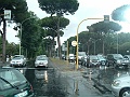 DSCF0651