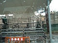 DSCF0721