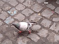 DSCF0772