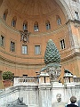 DSCF0796