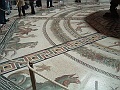 DSCF0820