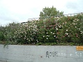 DSCF0908