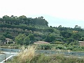 DSCF0910