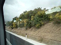 DSCF0912