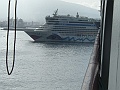 DSCF0956