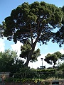 DSCF0972
