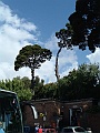 DSCF0973