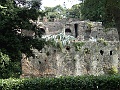 DSCF0981