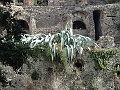 DSCF0982