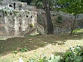 DSCF0984