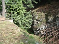 DSCF0985