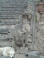 DSCF1009