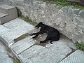 DSCF1021