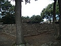 DSCF1028