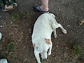 DSCF1030