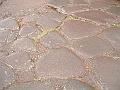 DSCF1048