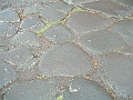 DSCF1049