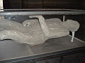 DSCF1085