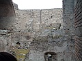 DSCF1091