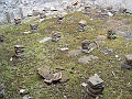 DSCF1093
