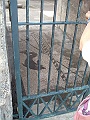 DSCF1121