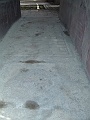 DSCF1125
