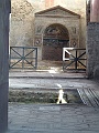 DSCF1127