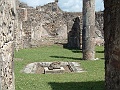 DSCF1133