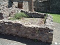 DSCF1141