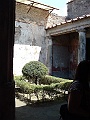 DSCF1165