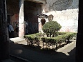DSCF1166