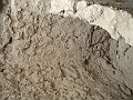 DSCF1175