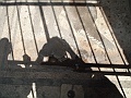 DSCF1179