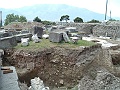 DSCF1219